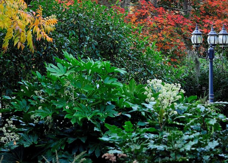 GARDENING